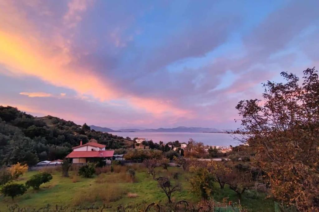 Ολόκληρος Όροφος Αγροτική Οικία Apartment Néos Pírgos Exterior foto